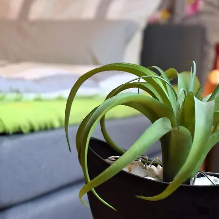 Kopp Apartment *